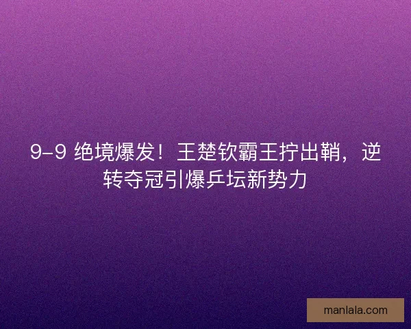 9-9 绝境爆发！王楚钦霸王拧出鞘，逆转夺冠引爆乒坛新势力