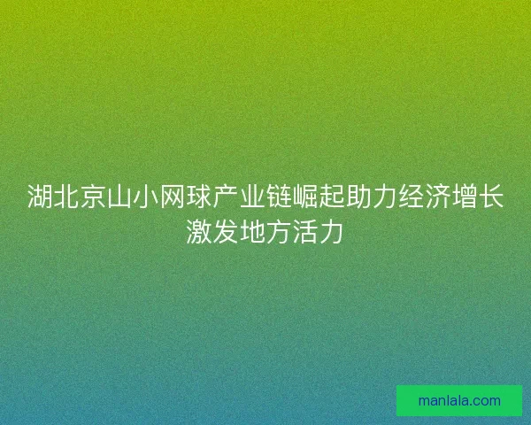 湖北京山小网球产业链崛起助力经济增长激发地方活力