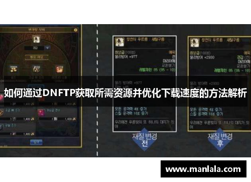 如何通过DNFTP获取所需资源并优化下载速度的方法解析